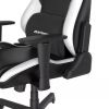 Herní židle DXRacer DRIFTING, černá / bílá