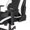 Herní židle DXRacer DRIFTING XL, černá / bílá