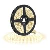 LED světelný pás WM615, 5 m, bílá